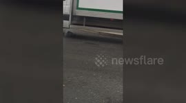 A massive rat is seen with a doughnut in its mouth