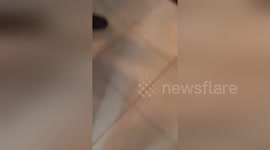 Newsflare Edit - Tank's Sizzler Toe Smash