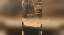 Newsflare Edit - Spider video 2
