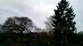 Strong winds with BA aircraft landing
