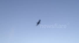seagulls in high winds in kings Lynn