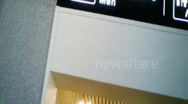 Men piss while women are cleaning toilets