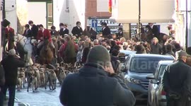 South Brent Boxing Day Hunt Meet