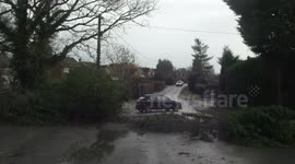Fallen Tree Takes Down Power Line