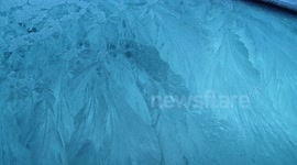 Fern Frost On Car Window - Dec 26th 2013