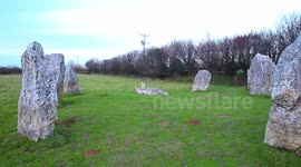 one of the first lambs of the season in a cornish stone circle near looe cornwall