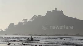 Swans surf waves in stunning conditions in Cornwall