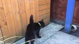 The great escape
