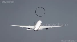 Birdstrike, Near Miss, or Illusion? Singapore A350 after Departure!