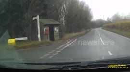 Heron Caught on Dashcam at side of the road.