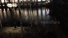 Christmas Market Rathausmarkt, Hamburg, Germany 2016, 4K