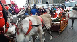 Reindeer pull Santa's sleigh into Aberfeldy in Scotland