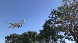 Airplane landong