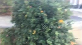 Newsflare Edit - Burst pipe floods homes in Islington, London