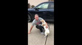 Deployment Homecoming