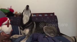 Leon Reacts to the Repeating Snowman Toy