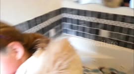 Girl, 10, reacts emotionally to puppy surprise