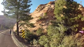 The road to Utah's Zion National Park is stunning