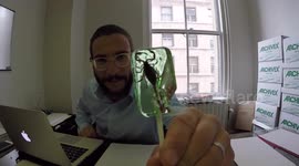 YouTuber eats scorpion lollipop he bought in Arizona