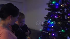 Baby Sam reacts to Christmas Tree