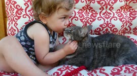 This is what love looks like between a toddler and her kitty
