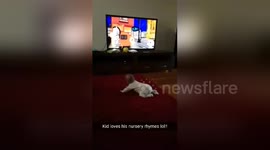Newsflare Edit - Humpy Dance