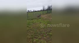 Newsflare Edit - My husband is CRAZY!!!