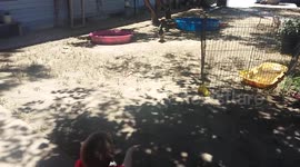 Jonny tells Nibbles goodbye