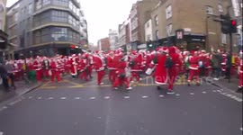 Cat Watches Santacon