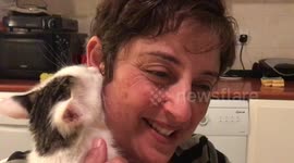 Kitten sucking on mums ear lobe!