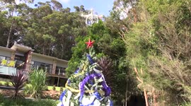 Drone used to put star on top of christmas tree