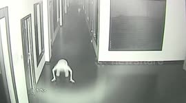 Alleged thief 'begs' in front of CCTV in the hope of not being arrested