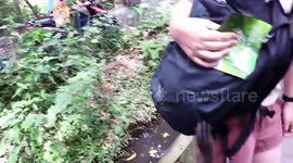 MONKEY ATTACK IN UBUD, BALI