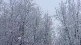 Ice-covered trees create winter wonderland in China