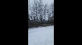 Only in Canada