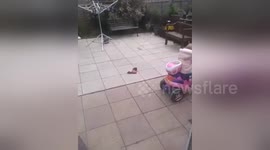 Newsflare Edit - Tired toddler falls asleep on moving toy car