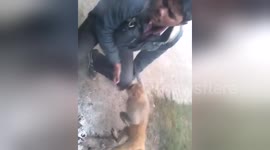 Monkey 'kisses' man before attacking him