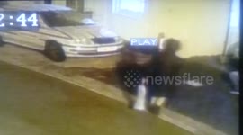 CCTV footage of cat being stolen outside home