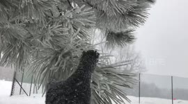 Polar vortex brings ice storm to Montreal