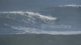 Pro surfer on a XXL big wave at Nazare Portugal