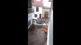 Perro muere ahogado tras temporal en Valencia