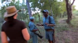 Idiot Rangers Provoke Rhinos to Charge Tourists on Walking Safari !
