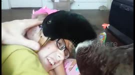 Possessive pet duck doesn't want to 'share' his owner