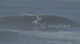 Intrepid surfers ride giant waves in Nazare, Portugal