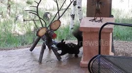 Squirrel Robs Reindeer