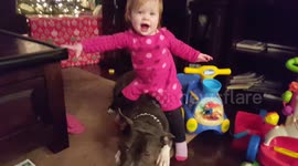 Toddler gets big surprise after sitting on a pitbull!