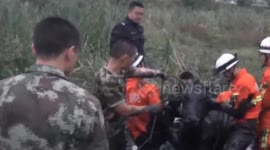 Firefighters rescue three pregnant cows trapped in wet sand