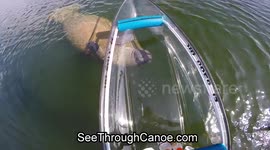 Canoeist has very close encounter with manatees in Florida