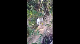 Wtf,why are looking at me???