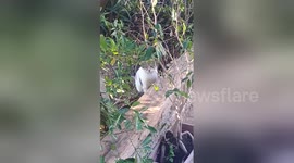 Newsflare Edit - Wtf,why are looking at me???